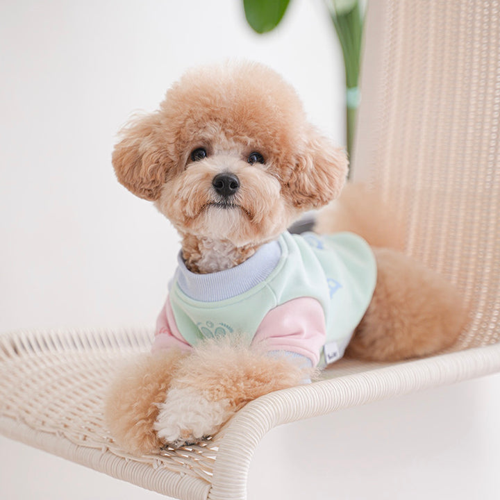 ※予約販売【Bailey】Brooklyn Tennis MTM