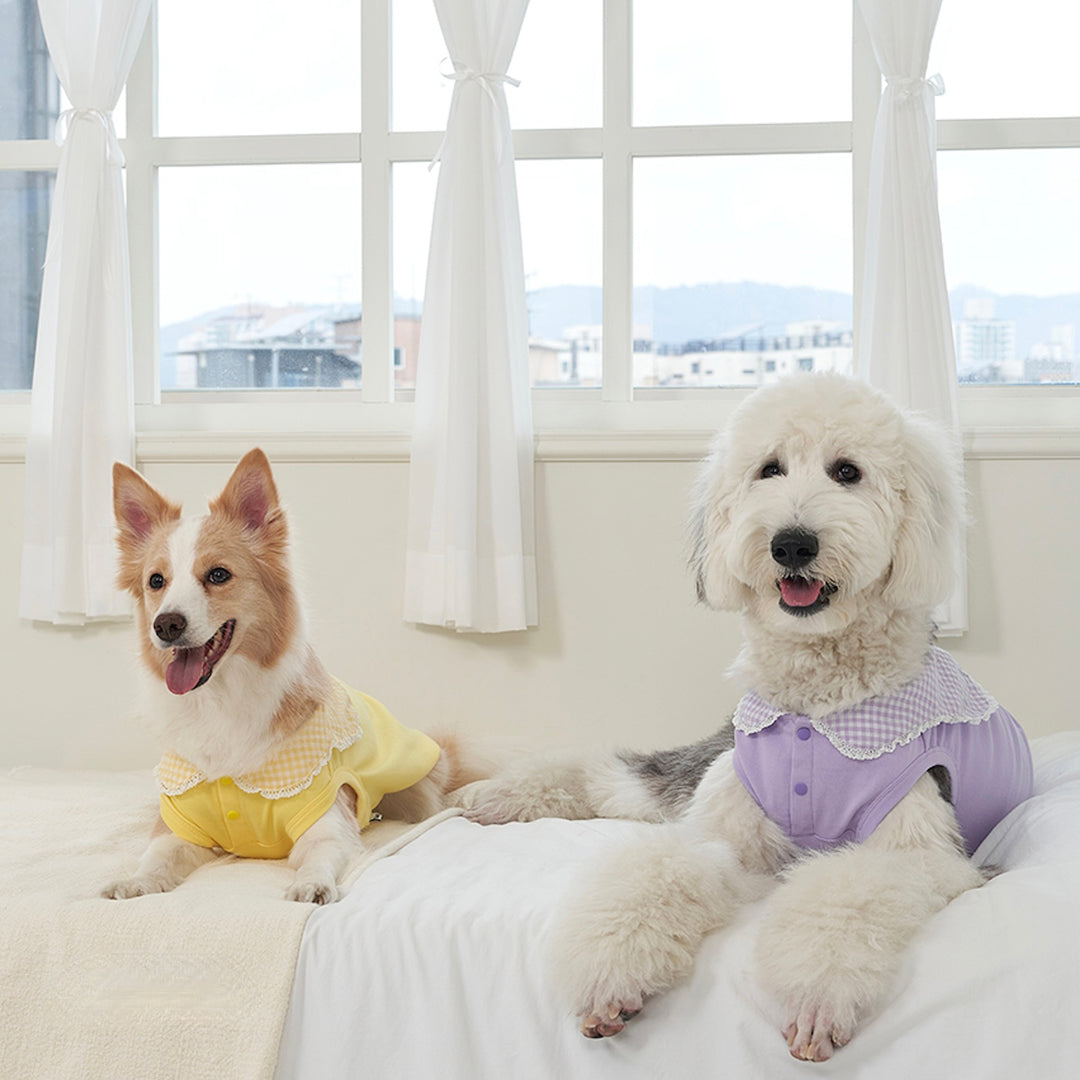 ※予約販売【Bailey】Cozy Sailor T-shirt（Yellow）