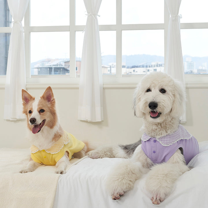※予約販売【Bailey】Cozy Sailor T-shirt（Yellow）