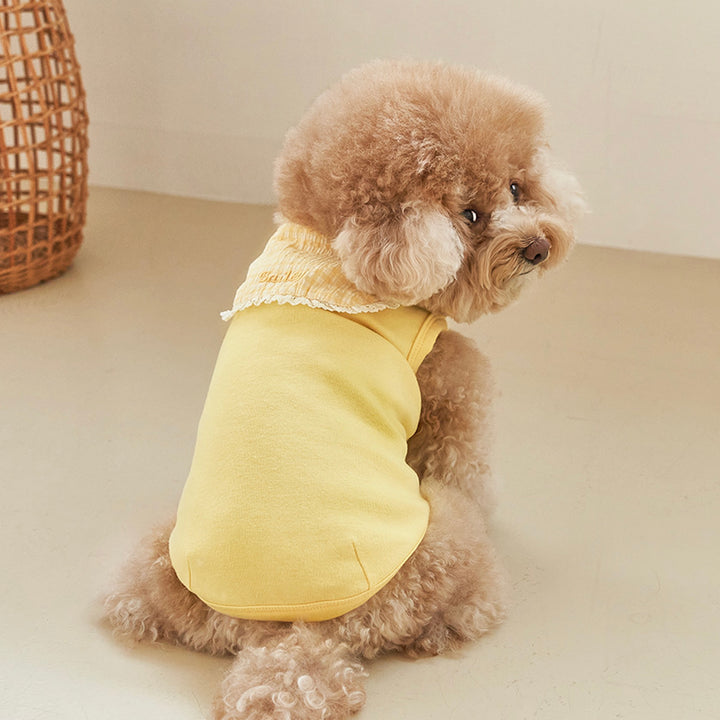 ※予約販売【Bailey】Cozy Sailor T-shirt（Yellow）