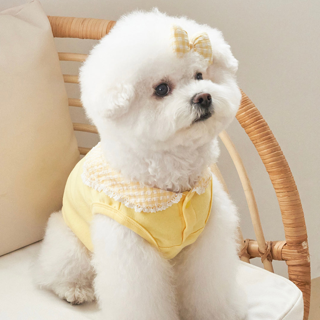 ※予約販売【Bailey】Cozy Sailor T-shirt（Yellow）
