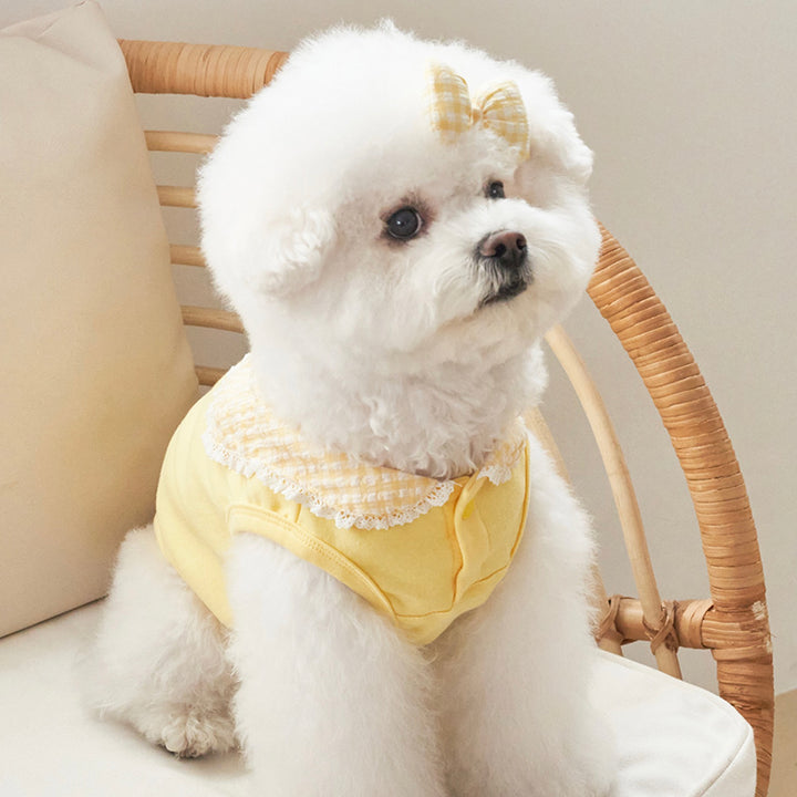 ※予約販売【Bailey】Cozy Sailor T-shirt（Yellow）