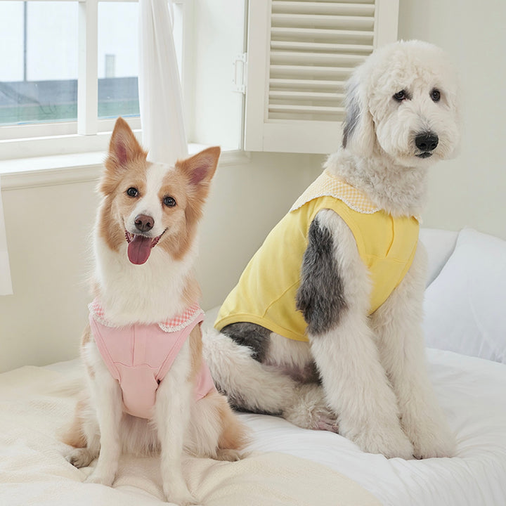 ※予約販売【Bailey】Cozy Sailor T-shirt（Pink）