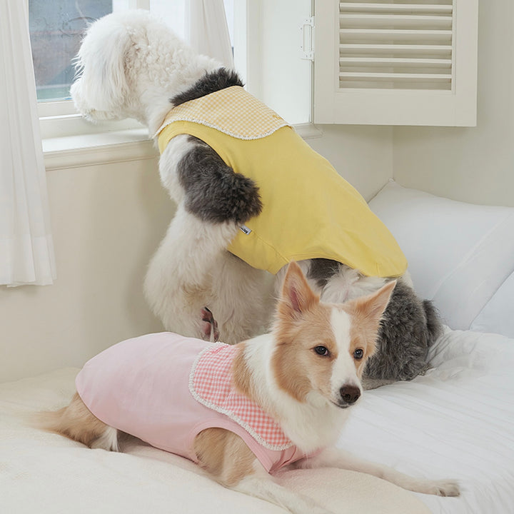 ※予約販売【Bailey】Cozy Sailor T-shirt（Yellow）