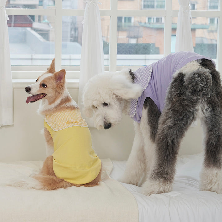 ※予約販売【Bailey】Cozy Sailor T-shirt（Yellow）