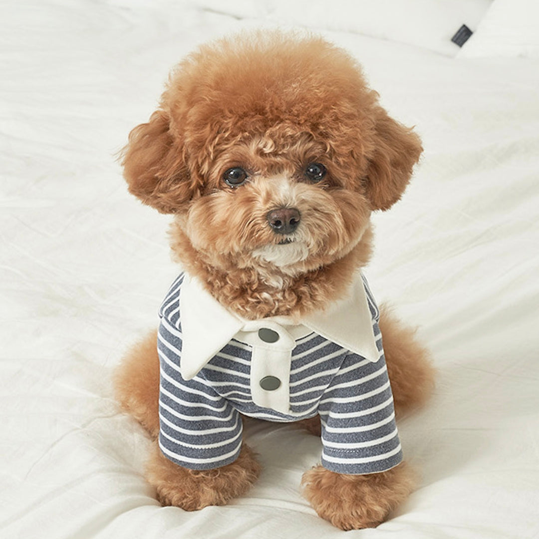 ※予約販売【Bailey】Roy Collar T-shirt（Chic Gray）