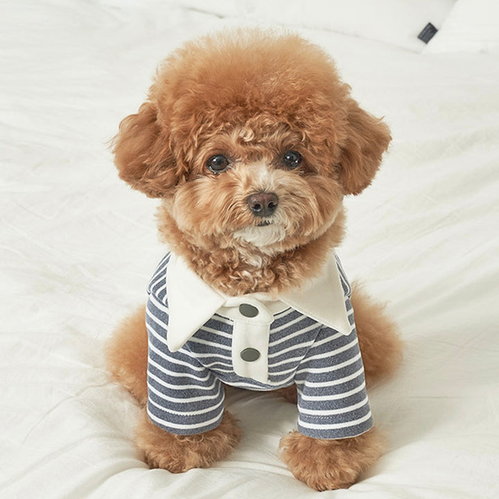 ※予約販売【Bailey】Roy Collar T-shirt（Chic Gray）
