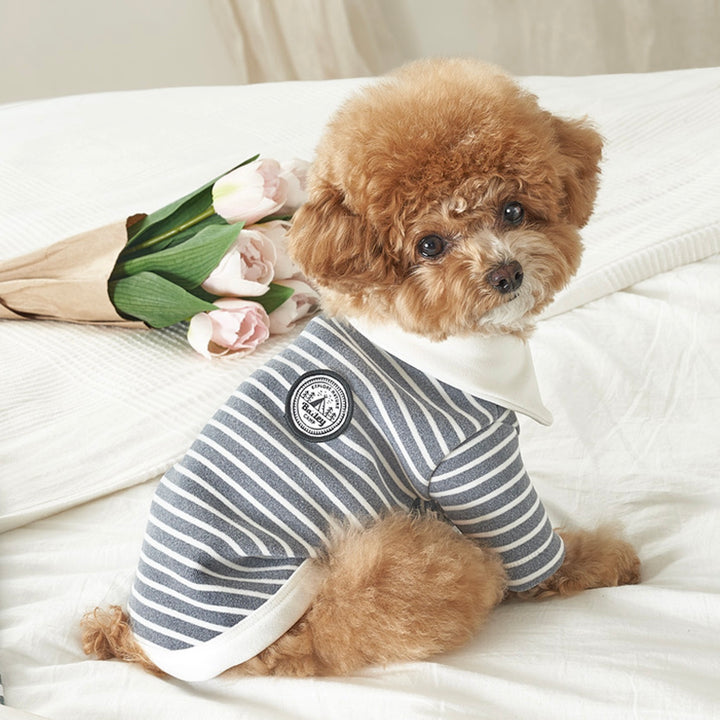 ※予約販売【Bailey】Roy Collar T-shirt（Chic Gray）