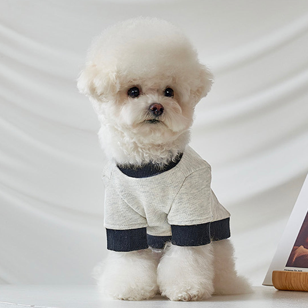 ※予約販売【Bailey】University MTM（New York Navy）