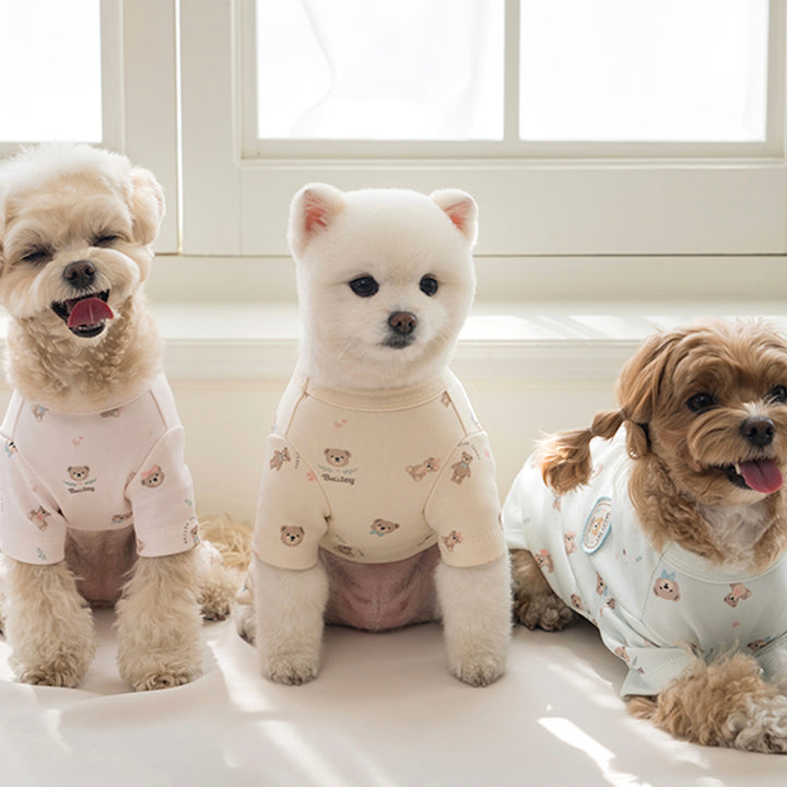 ※予約販売【Bailey】Teddy T-shirt（Teddy Blue）