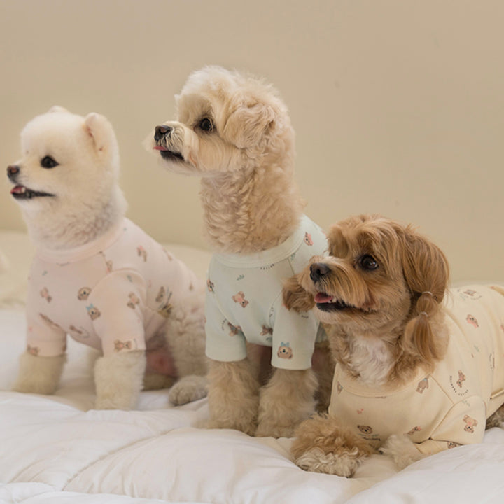 ※予約販売【Bailey】Teddy T-shirt（Teddy Blue）