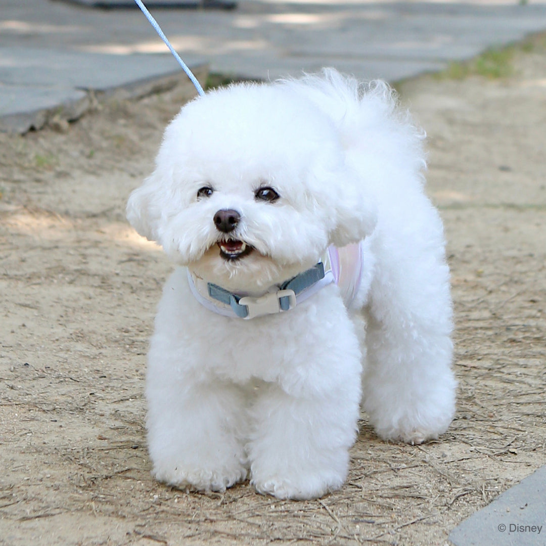※予約販売【ITS DOG】Disney Cool Harness（Olaf） ｜犬用ハーネス