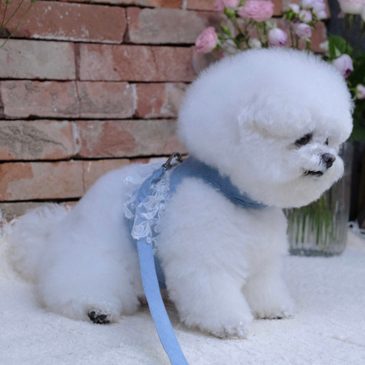 即納【BeBe Breath】Essential Harness（Denim）Leash Set｜犬用ハーネス