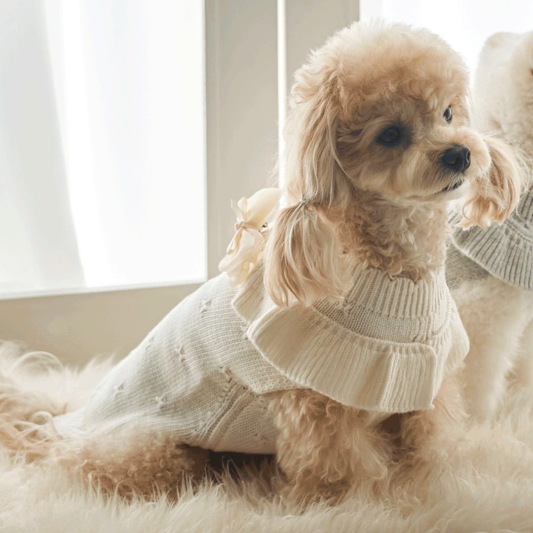 ※予約販売【Bailey】Aleey Frill Knit（Cream）