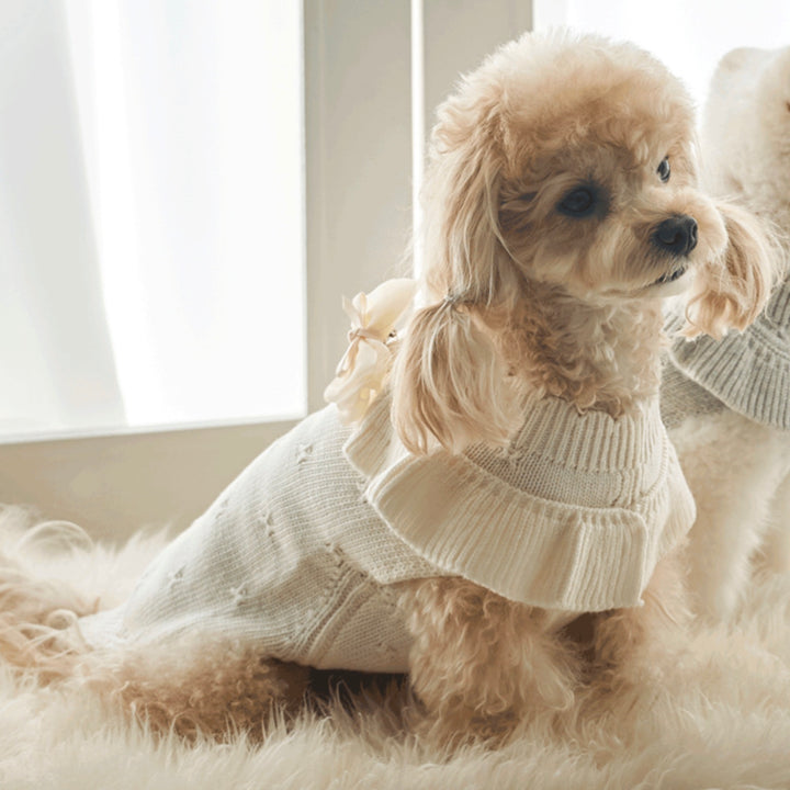 ※予約販売【Bailey】Aleey Frill Knit（Cream）
