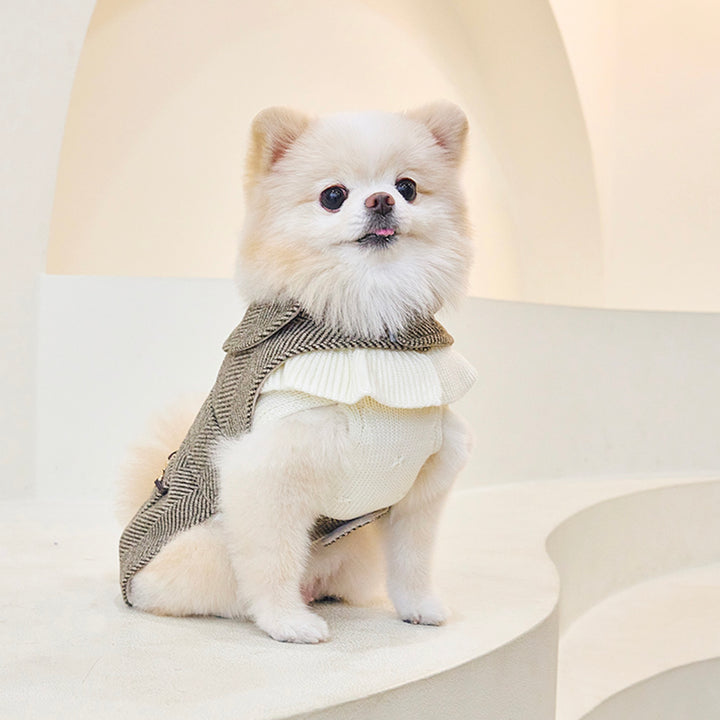 ※予約販売【Bailey】Aleey Frill Knit（Cream）