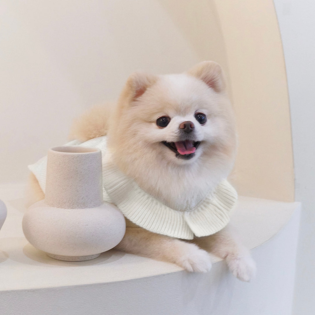 ※予約販売【Bailey】Aleey Frill Knit（Cream）