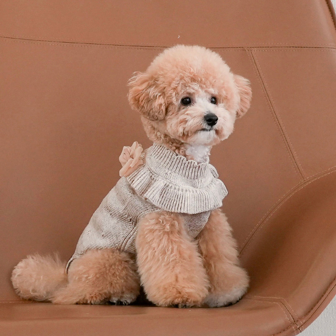 ※予約販売【Bailey】Aleey Frill Knit（Melange）