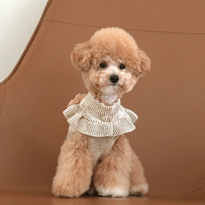 ※予約販売【Bailey】Aleey Frill Knit（Melange）