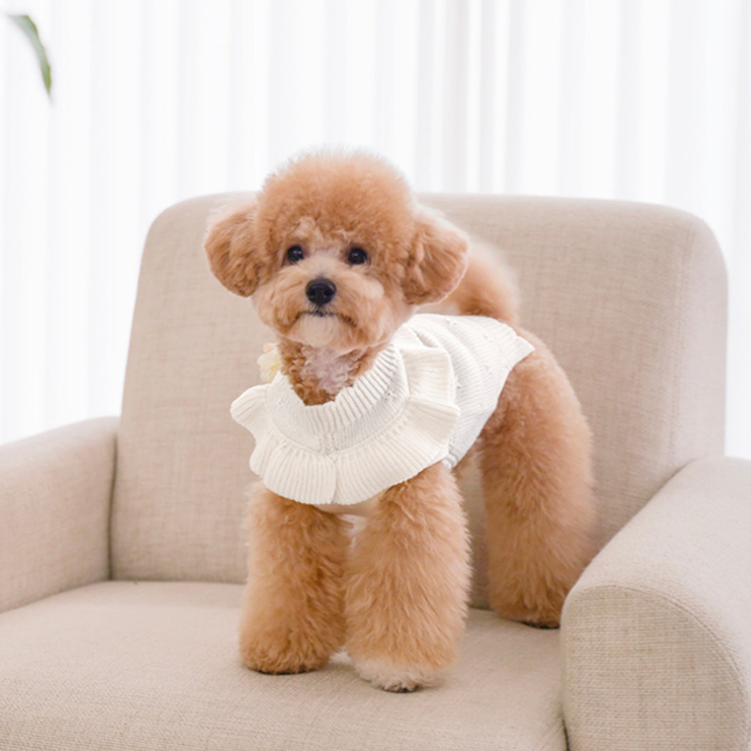 ※予約販売【Bailey】Aleey Frill Knit（Cream）