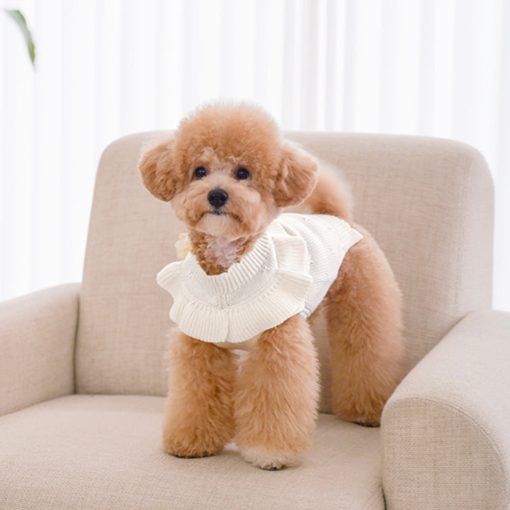 ※予約販売【Bailey】Aleey Frill Knit（Cream）