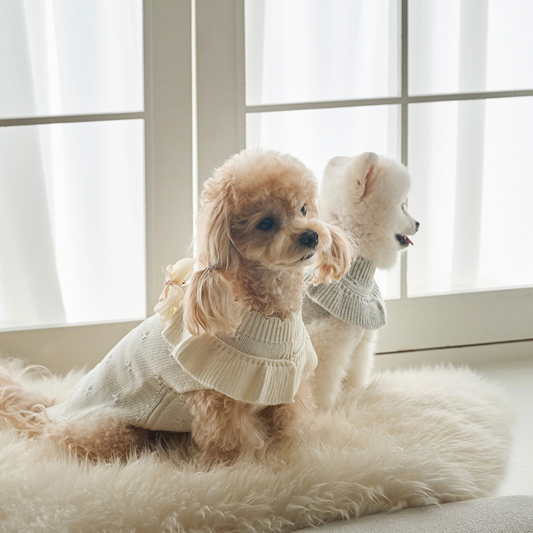 ※予約販売【Bailey】Aleey Frill Knit（Cream）