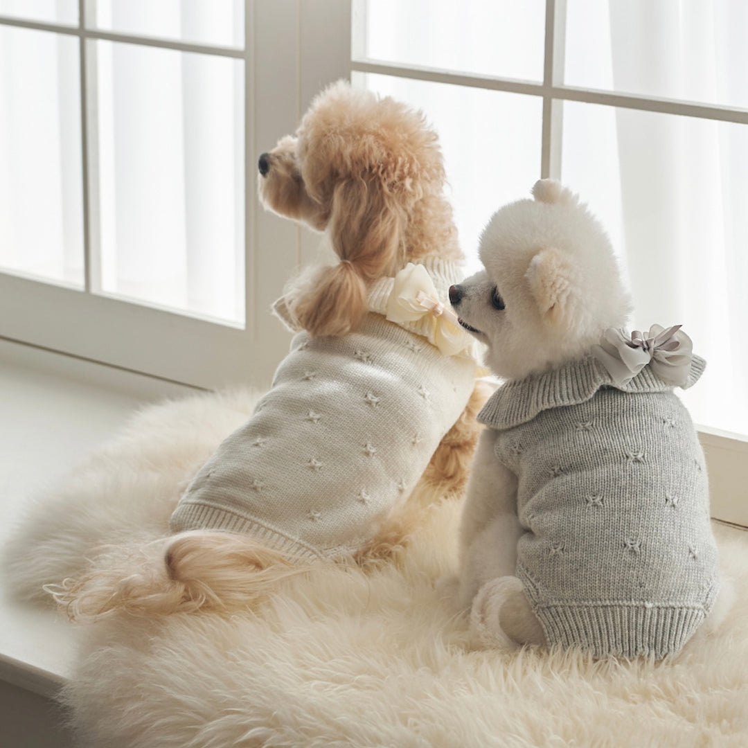 ※予約販売【Bailey】Aleey Frill Knit（Gray）