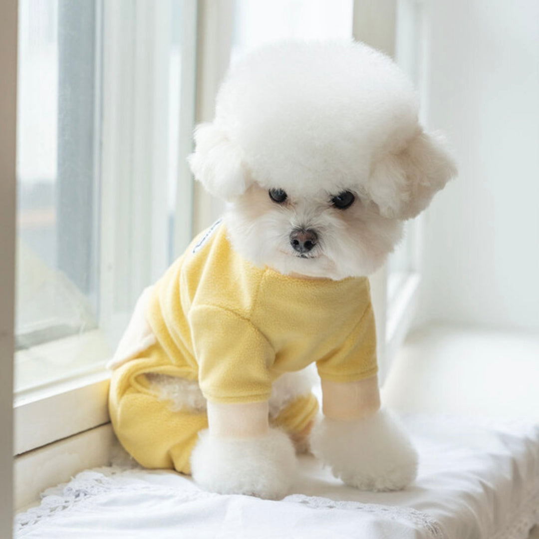 ※予約販売【Bailey】Fleece All In One（Yellow）