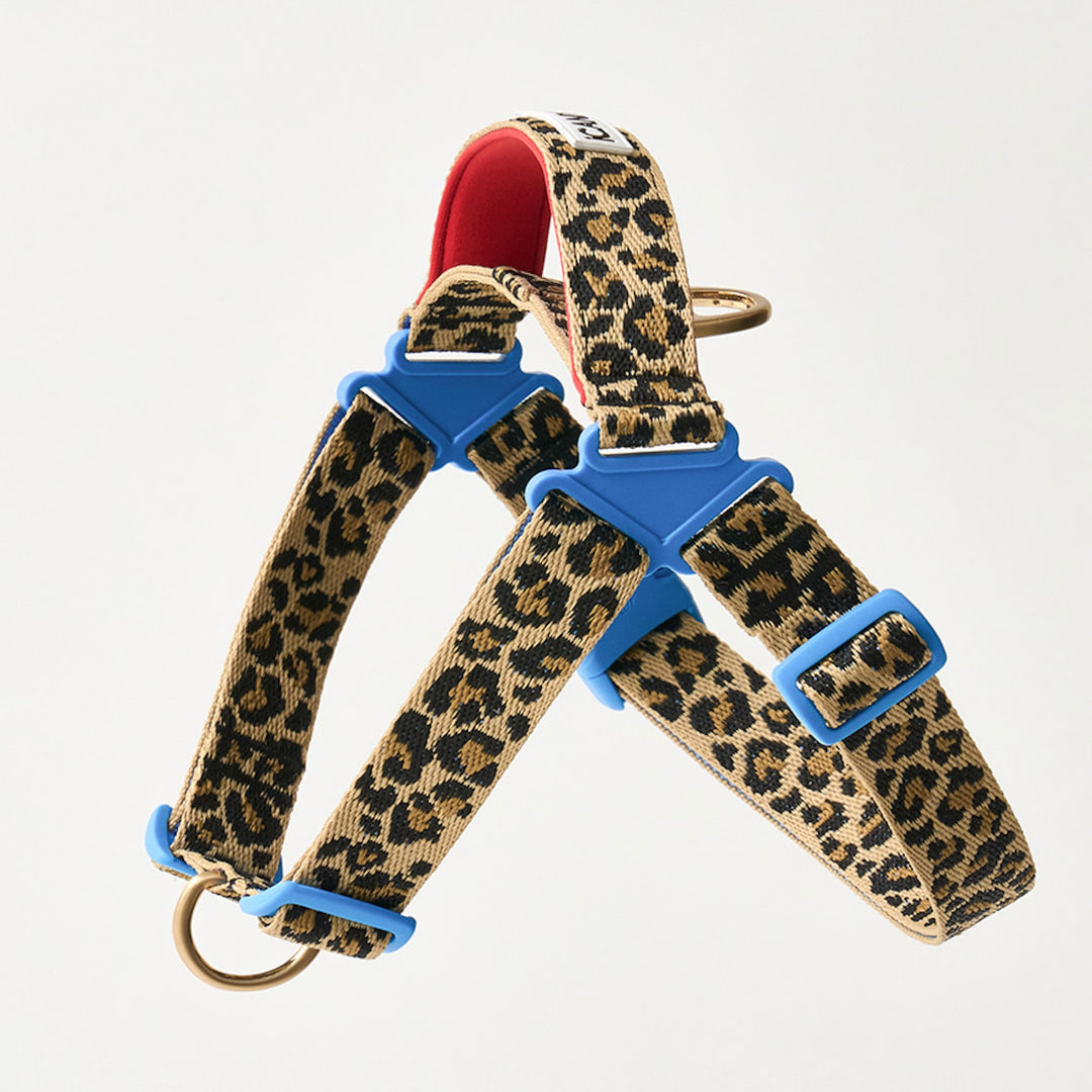※予約販売【iCANDOR】No-Pull Harness（LEOPARD）｜犬用ハーネス