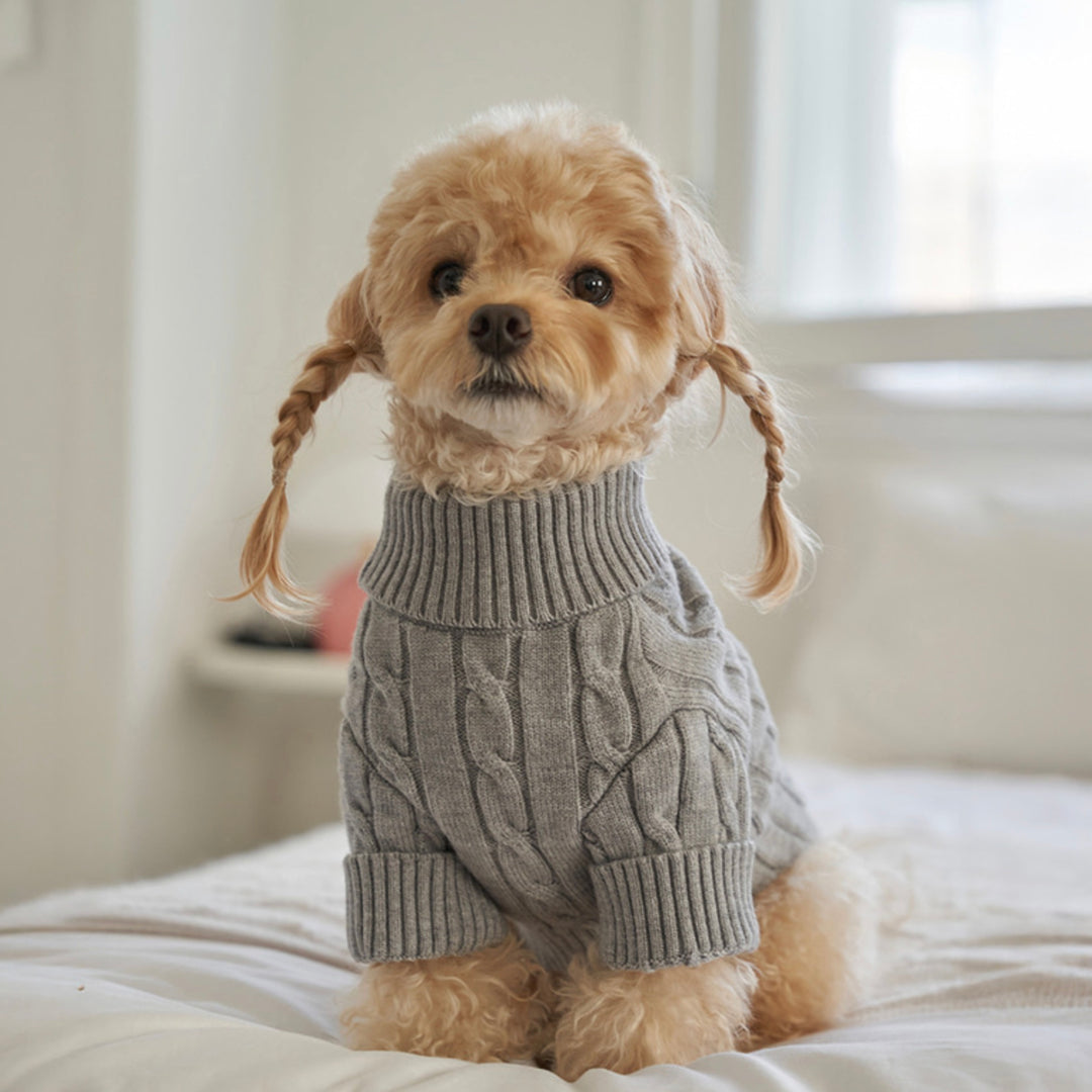※予約販売【Bailey】Teddy Pullover Knit（Gray）