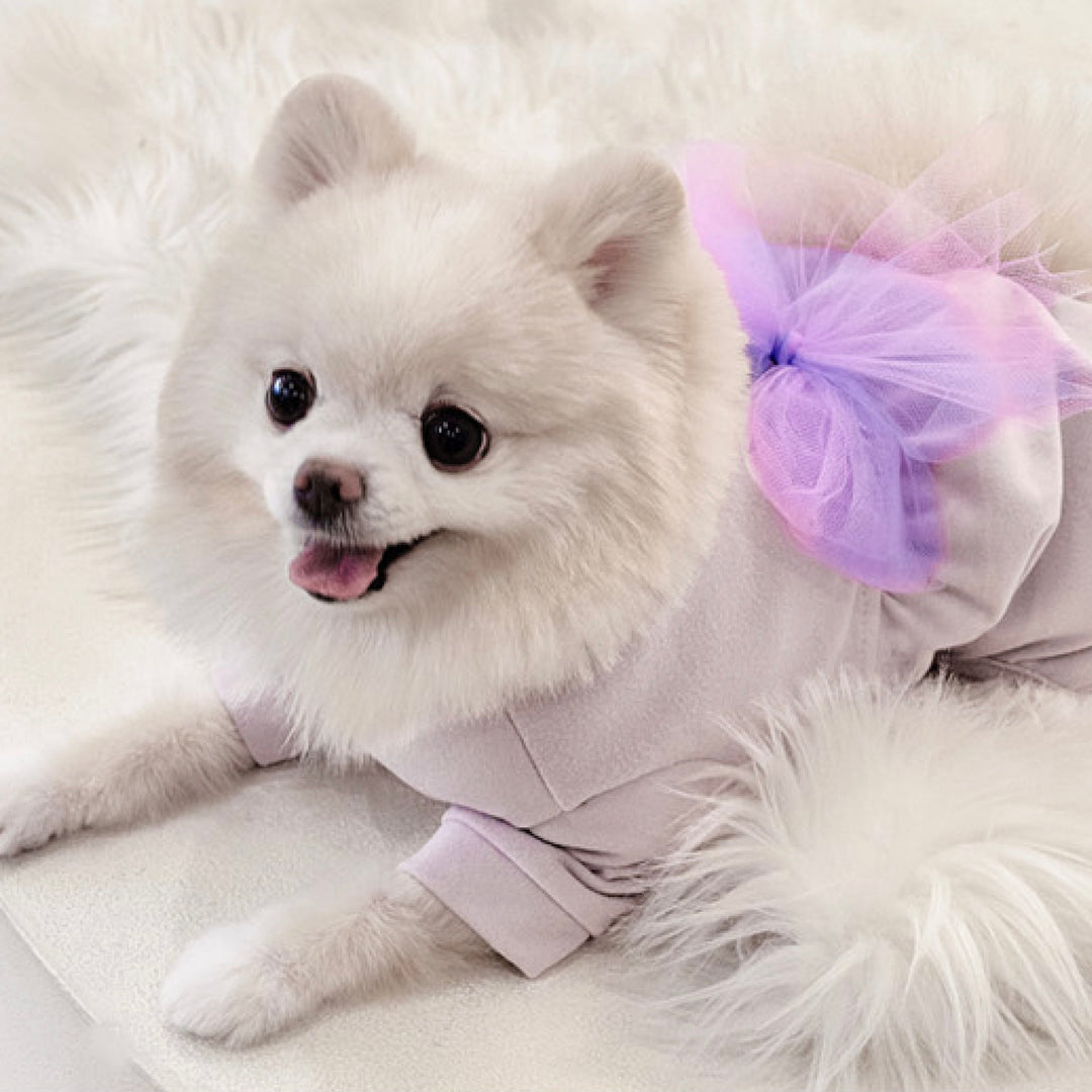 ※予約販売【Bailey】Isabel Balloon All In One（Lavender）