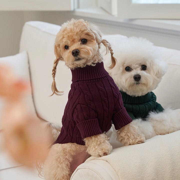 ※予約販売【Bailey】Teddy Pullover Knit（Green）