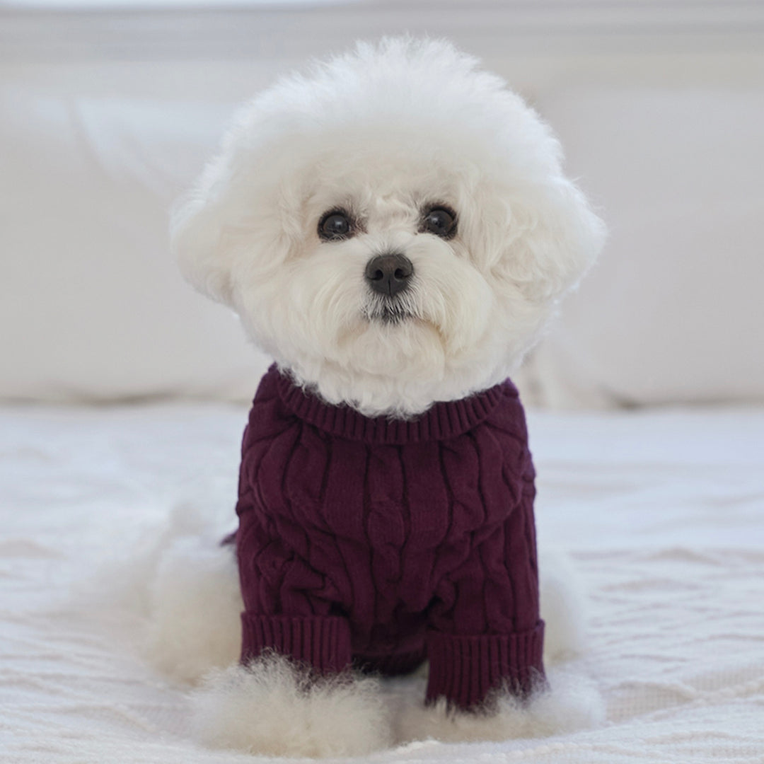 ※予約販売【Bailey】Teddy Pullover Knit（Burgundy）