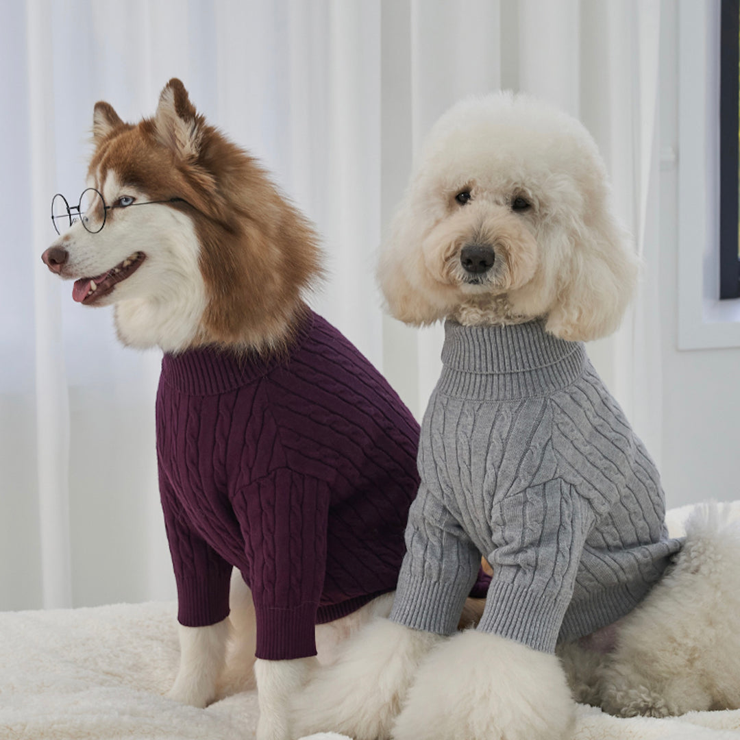 ※予約販売【Bailey】Teddy Pullover Knit（Burgundy）