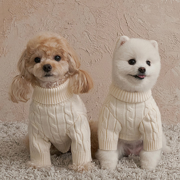 ※予約販売【Bailey】Teddy Pullover Knit（Cream）
