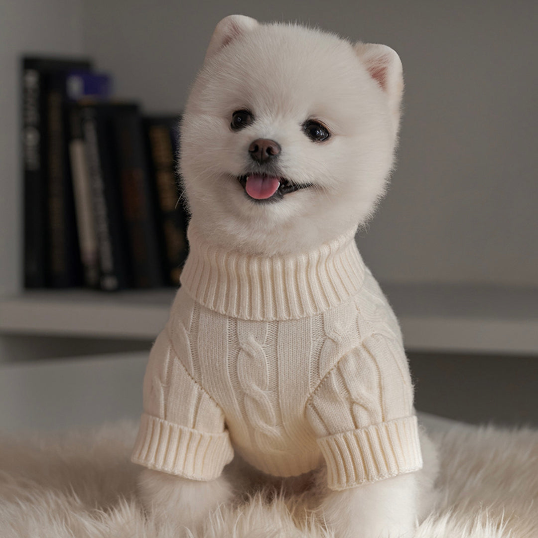 ※予約販売【Bailey】Teddy Pullover Knit（Cream）