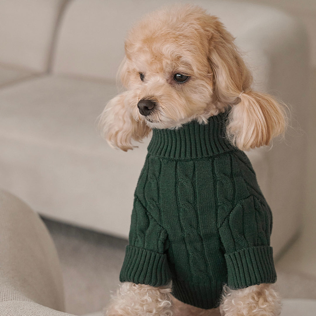 ※予約販売【Bailey】Teddy Pullover Knit（Green）