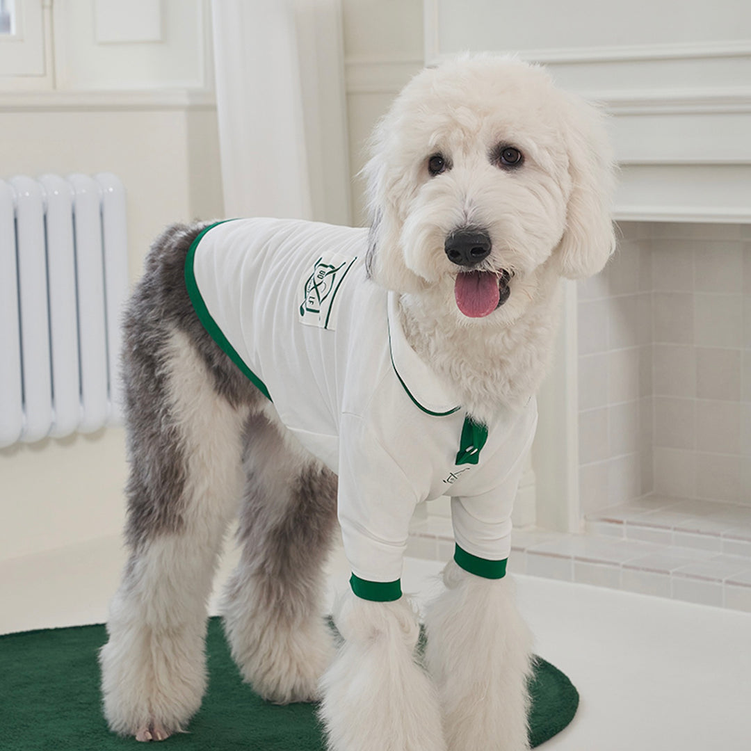 ※予約販売【Bailey】Golf PK T-Shirt（Green）
