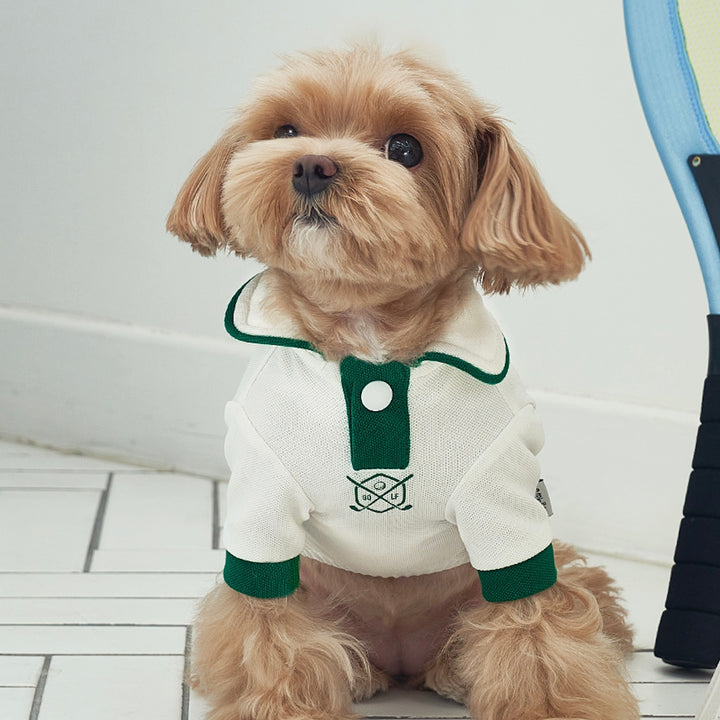 ※予約販売【Bailey】Golf PK T-Shirt（Green）