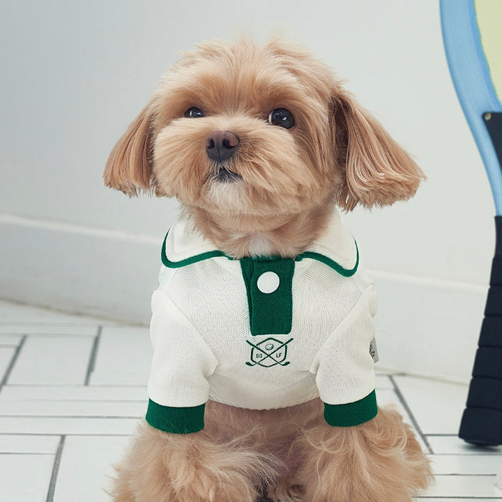 ※予約販売【Bailey】Golf PK T-Shirt（Green）