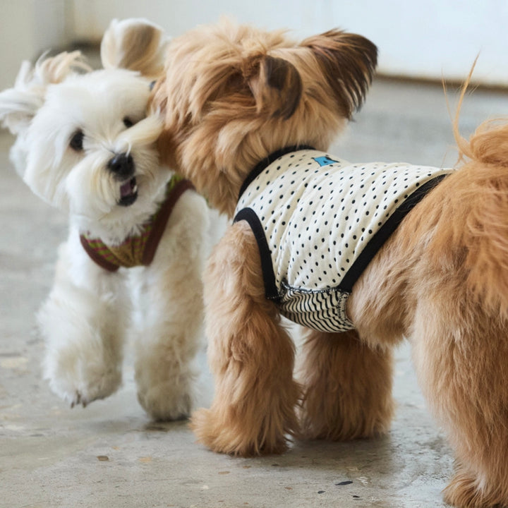 ※予約販売【andblank】A Stripe Sleeveless（Black）