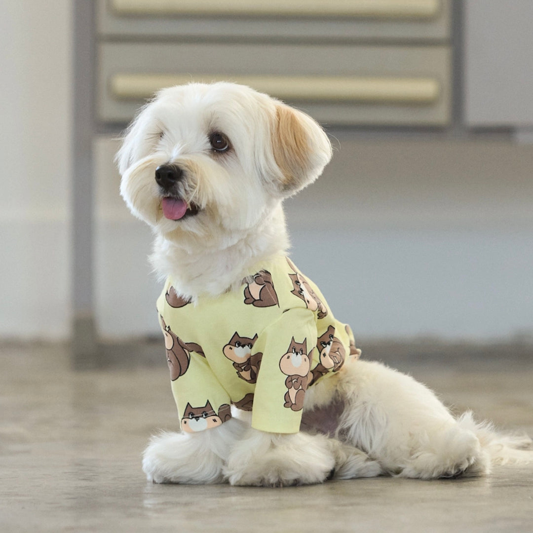 ※予約販売【andblank】ICONIC Chippy Short Sleeve（Lemon）