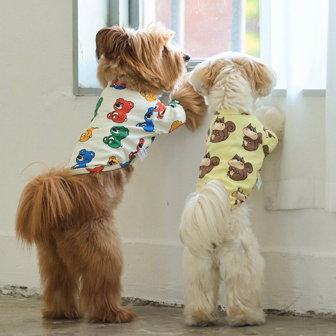 ※予約販売【andblank】ICONIC Joy Bear Short Sleeve（Rainbow）