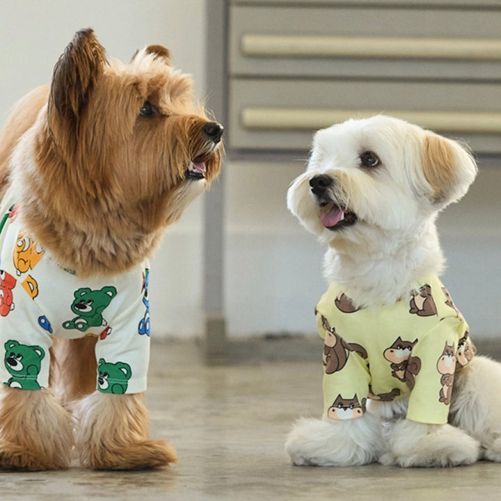 ※予約販売【andblank】ICONIC Joy Bear Short Sleeve（Rainbow）