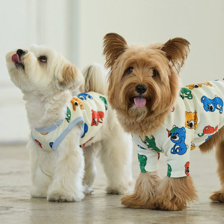 ※予約販売【andblank】ICONIC Joy Bear Short Sleeve（Rainbow）