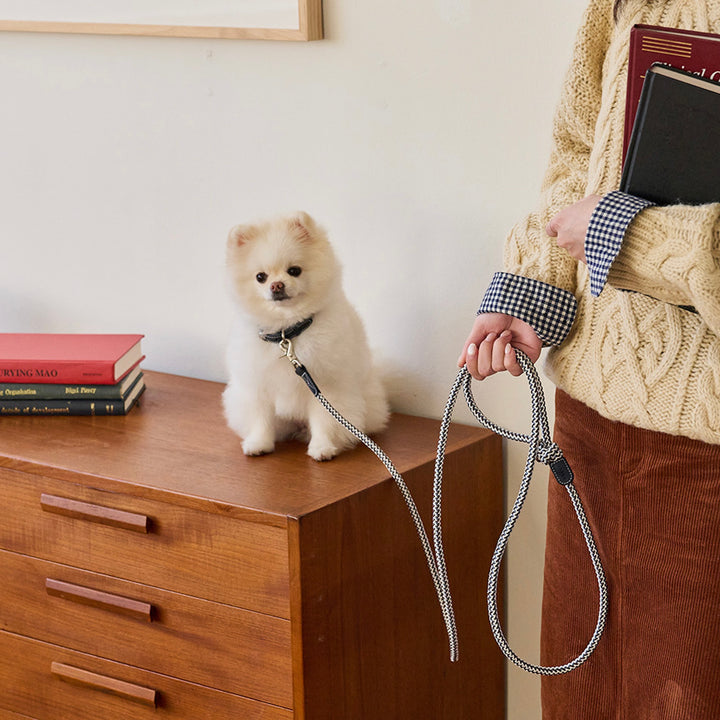 ※予約販売【noutti】Noutti × Stroll Rope Collar（Navy）