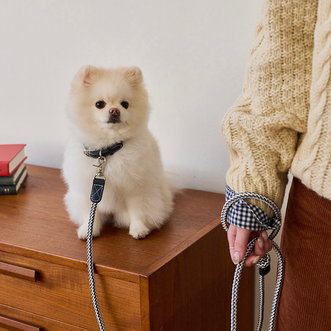 ※予約販売【noutti】Noutti × Stroll Rope Collar（Navy）