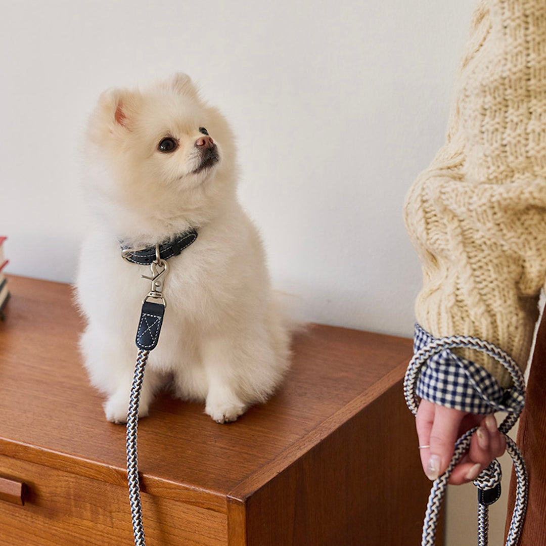※予約販売【noutti】Noutti × Stroll Rope Collar（Navy）