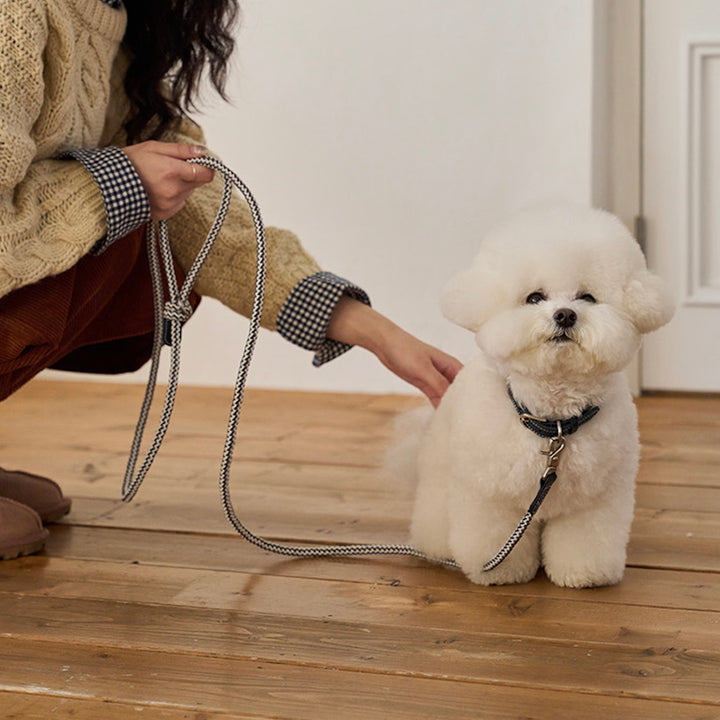 ※予約販売【noutti】Noutti × Stroll Rope Collar（Navy）