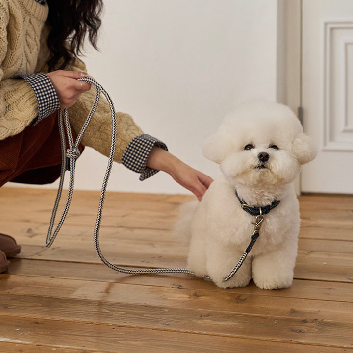 ※予約販売【noutti】Noutti × Stroll Rope Collar（Navy）